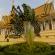Phnom Penh-Palais royal-019
