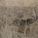 Angkor Vat-362
