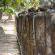 Preah Khan-014