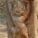 Preah Khan-017
