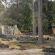 Preah Khan-041