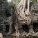 Preah Khan-043