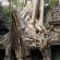 Preah Khan-044