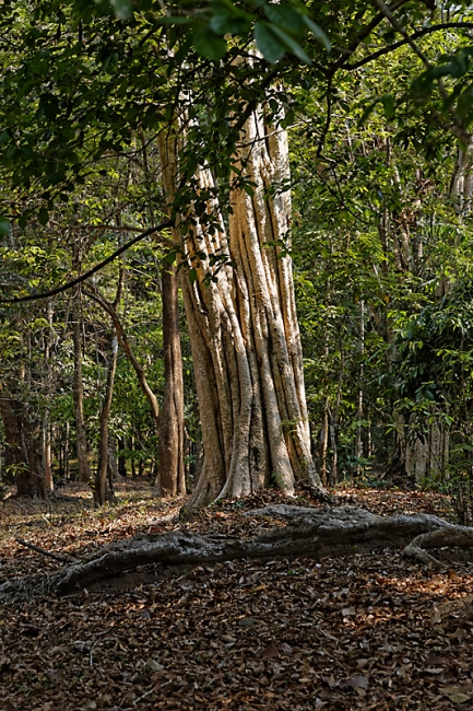 Phimeanakas-054