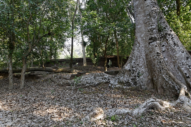 Phimeanakas-060