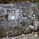 Preah Palilay-007