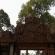 Banteay Srei-259