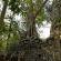 Ta Phrom et environs-017