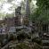 Ta Phrom et environs-027