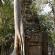 Ta Phrom et environs-106