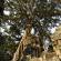 Ta Phrom et environs-122