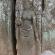 Groupe de Koh Ker-Prasat Thom-077