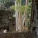 Groupe de Koh Ker-Prasat Thom-079
