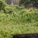 Groupe de Koh Ker-Prasat Thom-091