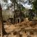 Groupe de Koh Ker-Prasat Kra Chap-035