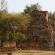 Groupe de Roluos-Bakong-073