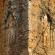 Groupe de Roluos-Bakong-078