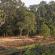 Groupe de Roluos-Bakong-089