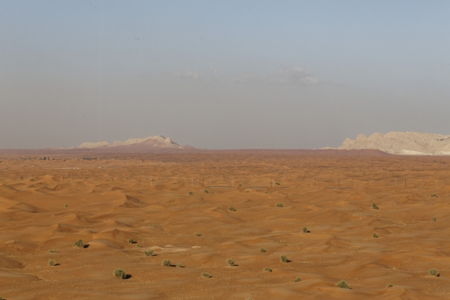 Désert-015
