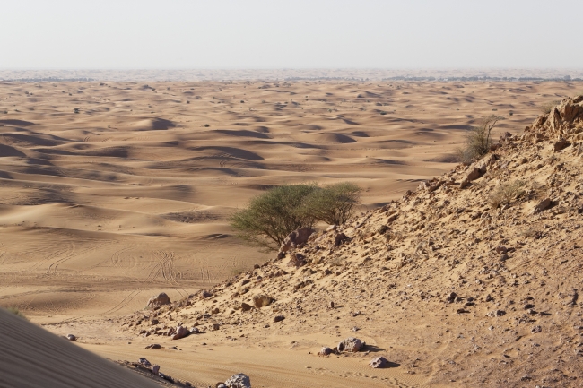 Désert-024