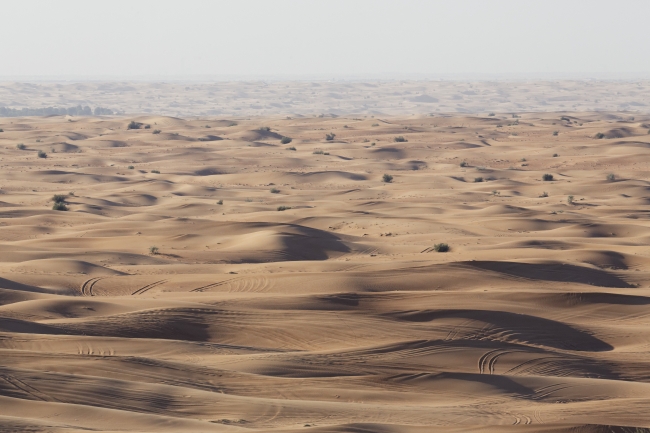 Désert-025
