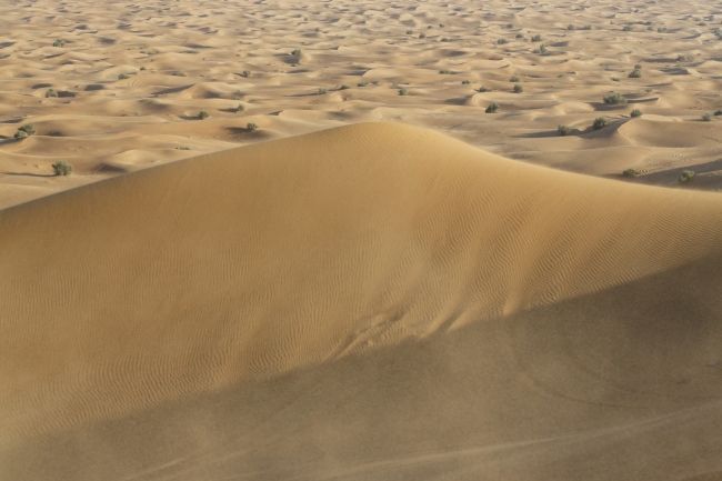 Désert-030