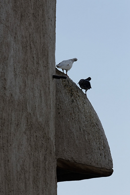 Dubai-164