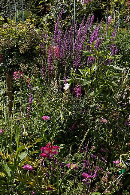 Giverny-040