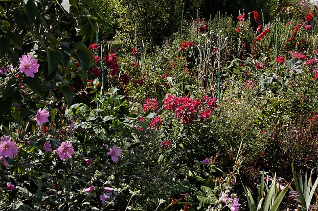 Giverny-051