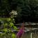 Giverny-059