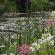 Giverny-063