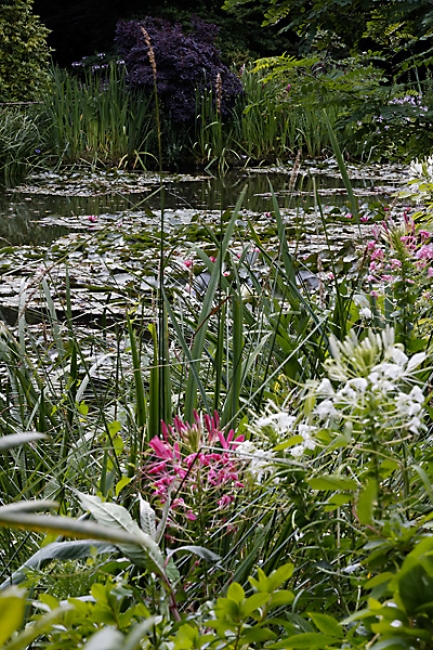 Giverny-063