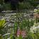 Giverny-064