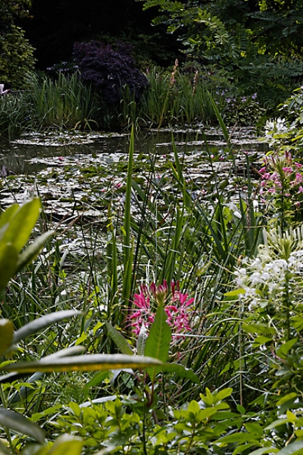 Giverny-064
