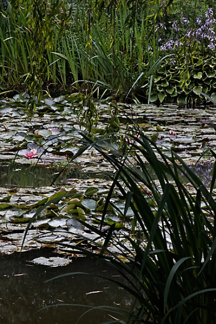Giverny-065