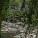 Giverny-066