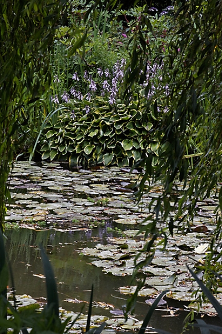 Giverny-066
