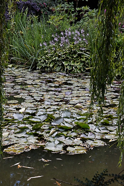Giverny-067