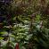 Giverny-068