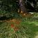 Giverny-072