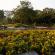 Suan Luang-004