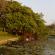Suan Luang-019