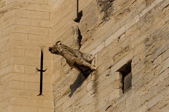 Avignon-010