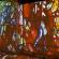 Carrières de lumière-Chagall-025