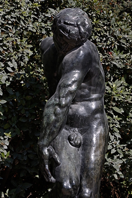 Rodin-012