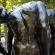 Rodin-044
