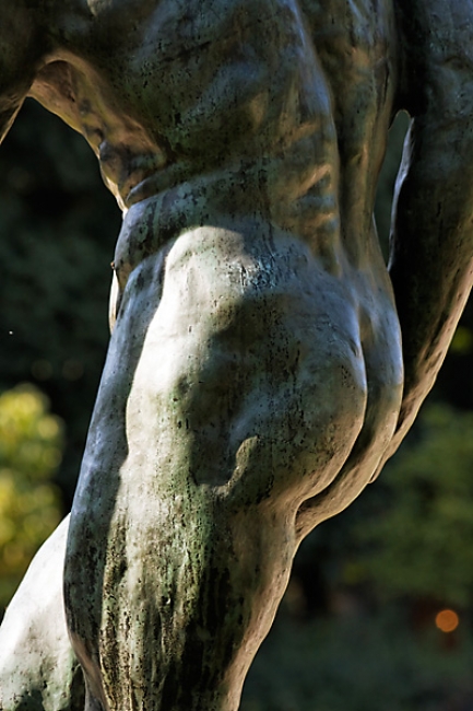 Rodin-073