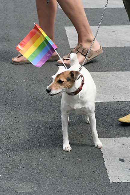 GayPrideParis2006-001