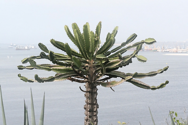 Luanda-022