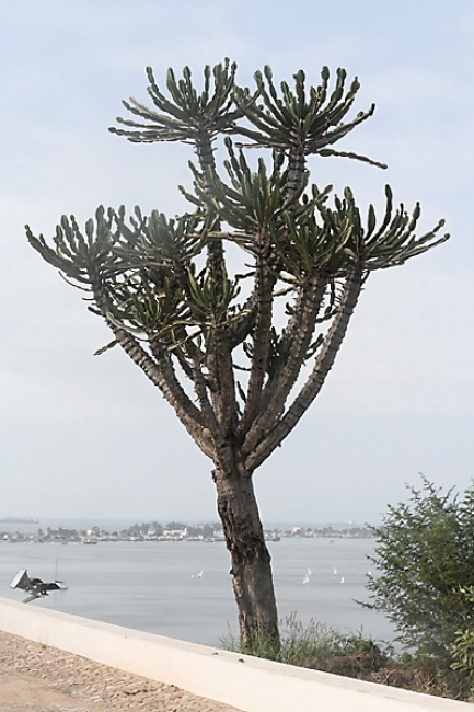 Luanda-023